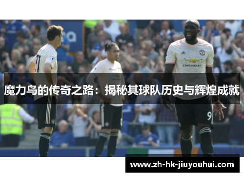 魔力鸟的传奇之路:揭秘其球队历史与辉煌成就 魔力鸟的传奇之路:揭秘其球队历史与辉煌成就