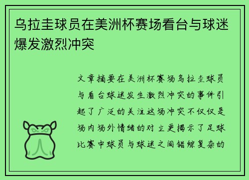 乌拉圭球员在美洲杯赛场看台与球迷爆发激烈冲突 乌拉圭球员在美洲杯赛场看台与球迷爆发激烈冲突