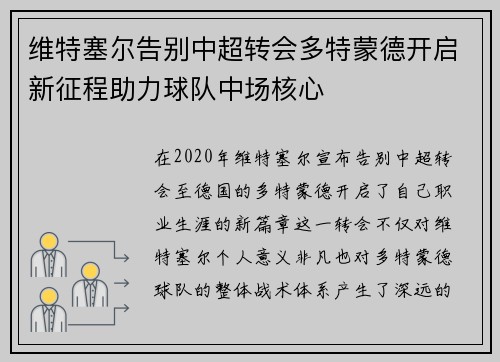 维特塞尔告别中超转会多特蒙德开启新征程助力球队中场核心 维特塞尔告别中超转会多特蒙德开启新征程助力球队中场核心